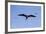 Ecuador, Galapagos Islands, Genovesa, Darwin Bay Beach-Ellen Goff-Framed Photographic Print