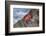 Ecuador, Galapagos Islands, Isabela, Urvina Bay, Sally Lightfoot Crab on a Rock-Ellen Goff-Framed Photographic Print