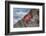 Ecuador, Galapagos Islands, Isabela, Urvina Bay, Sally Lightfoot Crab on a Rock-Ellen Goff-Framed Photographic Print