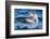 Ecuador, Galapagos Islands, North Seymour Island, Brown Pelican Flying-Ellen Goff-Framed Photographic Print