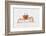 Ecuador, Galapagos Islands, San Cristobal, Cerro Brujo. Ghost Crab Portrait-Ellen Goff-Framed Photographic Print