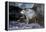 Ecuador, Galapagos Islands, Santiago, Puerto Egas. Galapagos Sea Lion in the Rocks-Ellen Goff-Framed Premier Image Canvas