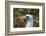 Ecuador, Galapagos National Park, Genovesa Island. Nazca booby profile.-Jaynes Gallery-Framed Photographic Print