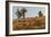 Ecuador, Galapagos National Park. Land Iguana in Colorful Vegetation-Cathy & Gordon Illg-Framed Photographic Print