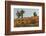 Ecuador, Galapagos National Park. Land Iguana in Colorful Vegetation-Cathy & Gordon Illg-Framed Photographic Print