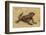 Ecuador, Galapagos National Park. Marine Iguana on Sand-Cathy & Gordon Illg-Framed Photographic Print