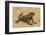 Ecuador, Galapagos National Park. Marine Iguana on Sand-Cathy & Gordon Illg-Framed Photographic Print