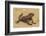 Ecuador, Galapagos National Park. Marine Iguana on Sand-Cathy & Gordon Illg-Framed Photographic Print