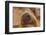 Ecuador, Galapagos National Park. Sea Lion Close-up-Cathy & Gordon Illg-Framed Photographic Print