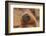 Ecuador, Galapagos National Park. Sea Lion Close-up-Cathy & Gordon Illg-Framed Photographic Print