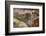 Ecuador, Galapagos National Park, South Plaza Island. Land iguana head close-up.-Jaynes Gallery-Framed Photographic Print