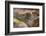 Ecuador, Galapagos National Park, South Plaza Island. Land iguana head close-up.-Jaynes Gallery-Framed Photographic Print