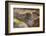 Ecuador, Galapagos National Park, South Plaza Island. Land iguana head close-up.-Jaynes Gallery-Framed Photographic Print