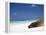 Ecuador, Galapagos, Sunbathing Sea Lion on the Stunning Beaches of San Cristobal, Galapagos-Niels Van Gijn-Framed Premier Image Canvas