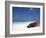 Ecuador, Galapagos, Sunbathing Sea Lion on the Stunning Beaches of San Cristobal, Galapagos-Niels Van Gijn-Framed Photographic Print