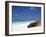 Ecuador, Galapagos, Sunbathing Sea Lion on the Stunning Beaches of San Cristobal, Galapagos-Niels Van Gijn-Framed Photographic Print