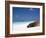 Ecuador, Galapagos, Sunbathing Sea Lion on the Stunning Beaches of San Cristobal, Galapagos-Niels Van Gijn-Framed Photographic Print