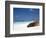 Ecuador, Galapagos, Sunbathing Sea Lion on the Stunning Beaches of San Cristobal, Galapagos-Niels Van Gijn-Framed Premium Photographic Print