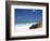 Ecuador, Galapagos, Sunbathing Sea Lion on the Stunning Beaches of San Cristobal, Galapagos-Niels Van Gijn-Framed Premium Photographic Print