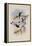 Ecuador Racket-Tail, Spathura Solstitialis-John Gould-Framed Premier Image Canvas