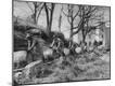 Photographic Print