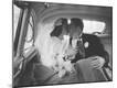 Photographic Print