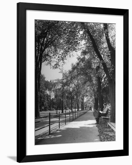 Photographic Print, , large