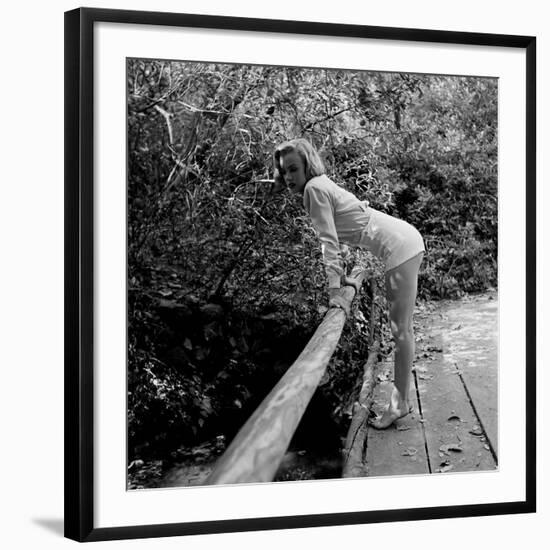 Photographic Print, , large