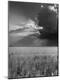 Photographic Print