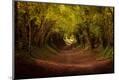 Photographic Print