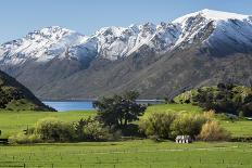 Rural scene of Lake Wanaka backed by snow capped mountains, New Zealand-Ed Rhodes-Photographic Print