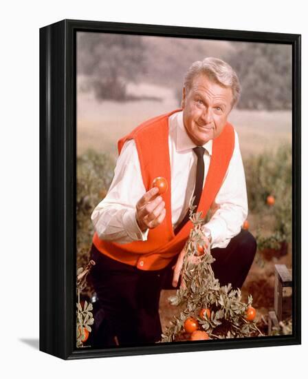 Eddie Albert - Green Acres-null-Framed Stretched Canvas