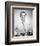 Eddy Arnold-null-Framed Photo