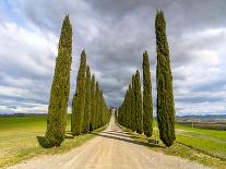 Idyllic Tuscan Landscape with Cypress Alley near Pienza, Val D'orcia, Italy-eddygaleotti-Framed Photographic Print