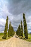 Idyllic Tuscan Landscape with Cypress Alley near Pienza, Val D'orcia, Italy-eddygaleotti-Photographic Print