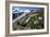 Edelweiss And Glacier-Dr. Juerg Alean-Framed Photographic Print