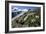 Edelweiss And Glacier-Dr. Juerg Alean-Framed Photographic Print