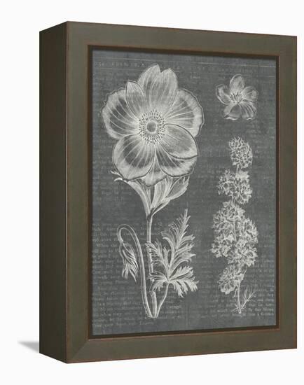 Eden Spring I Gray-Hugo Wild-Framed Stretched Canvas