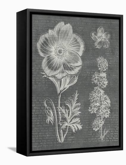 Eden Spring I Gray-Hugo Wild-Framed Stretched Canvas