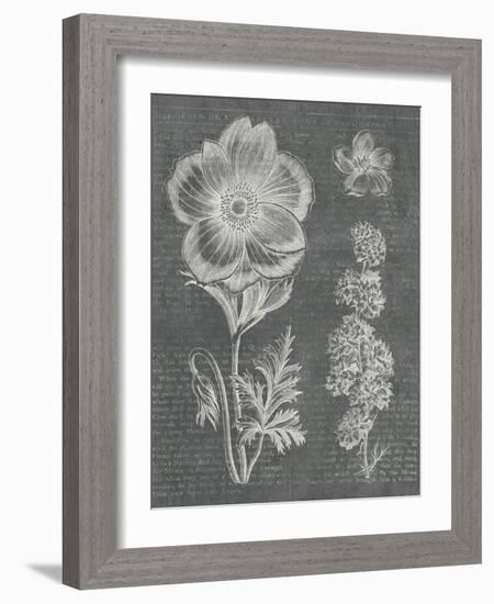 Eden Spring I Gray-Hugo Wild-Framed Art Print