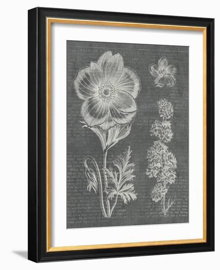 Eden Spring I Gray-Hugo Wild-Framed Art Print
