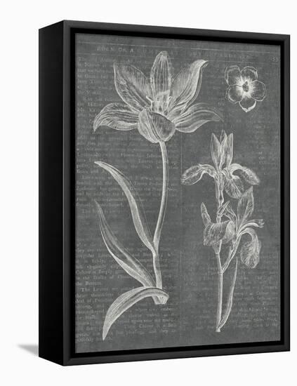 Eden Spring II Gray-Hugo Wild-Framed Stretched Canvas