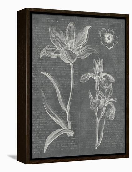 Eden Spring II Gray-Hugo Wild-Framed Stretched Canvas