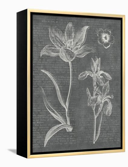 Eden Spring II Gray-Hugo Wild-Framed Stretched Canvas
