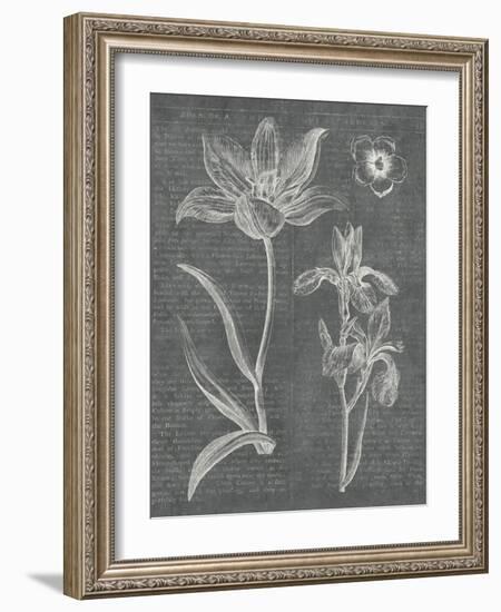 Eden Spring II Gray-Hugo Wild-Framed Art Print