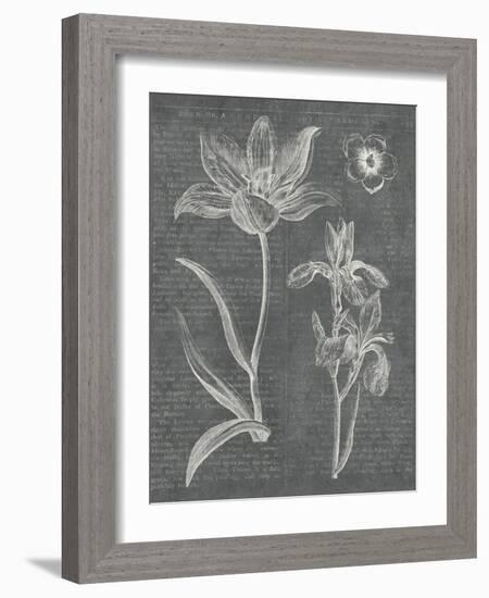 Eden Spring II Gray-Hugo Wild-Framed Art Print