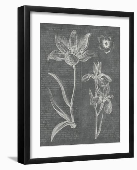 Eden Spring II Gray-Hugo Wild-Framed Art Print