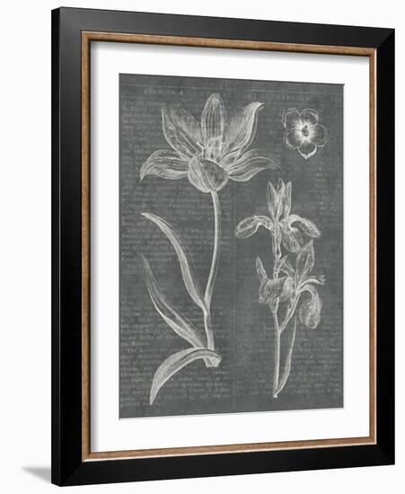 Eden Spring II Gray-Hugo Wild-Framed Art Print