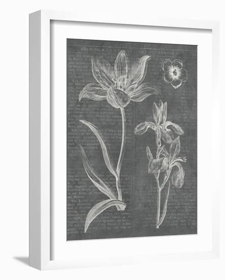 Eden Spring II Gray-Hugo Wild-Framed Art Print