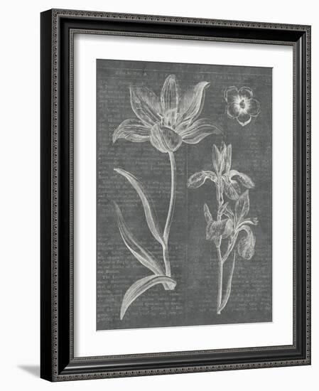 Eden Spring II Gray-Hugo Wild-Framed Art Print